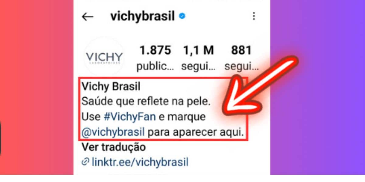 Como conseguir seguidores no Instagram Otimizando a bio