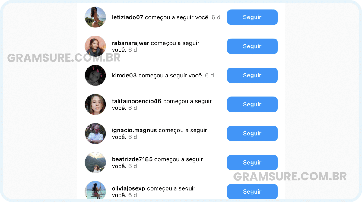 Seguidores Instagram